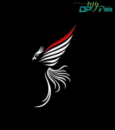 black dp