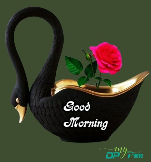 Today special good morning images