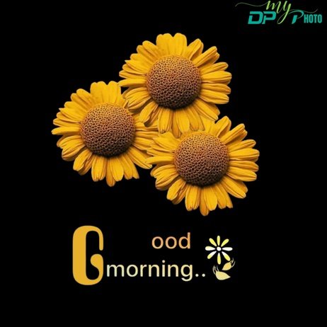 Today special good morning images