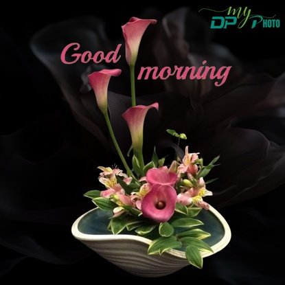 Today special good morning images
