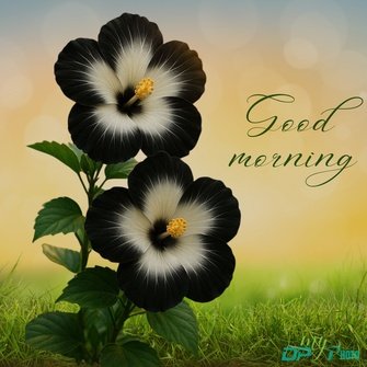 Today special good morning images