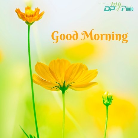 Today special good morning images