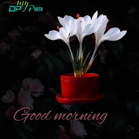 Today special good morning images