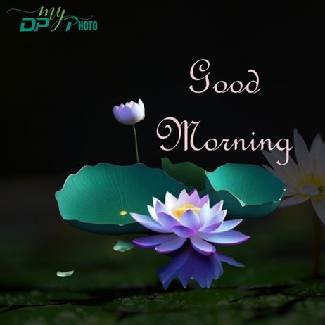 Today special good morning images