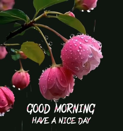 Today special good morning images