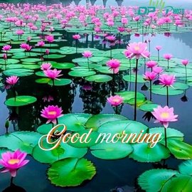 Today special good morning images