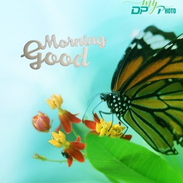 Today special good morning images