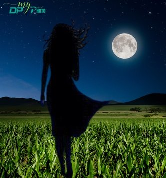 Alone dp 