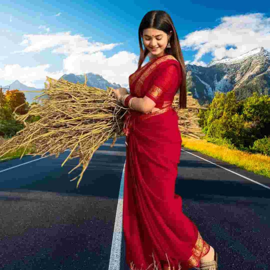 Saree Girl DP
