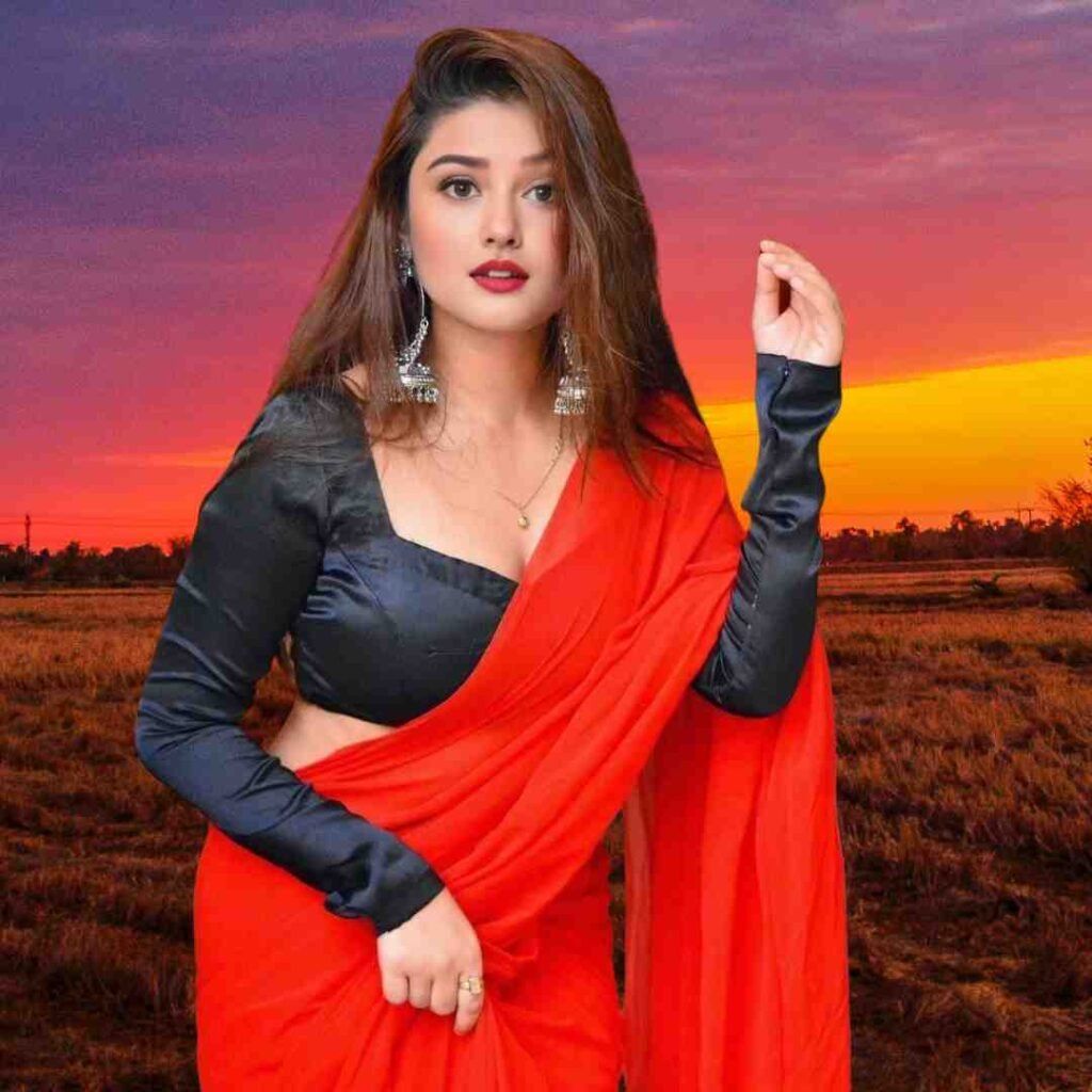 Saree Girl DP