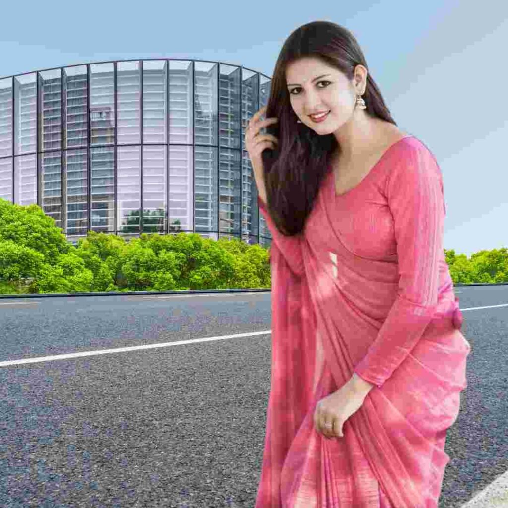 Saree Girl DP