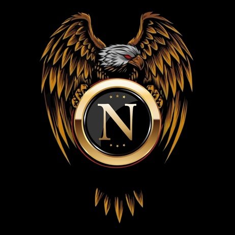 N Name dp