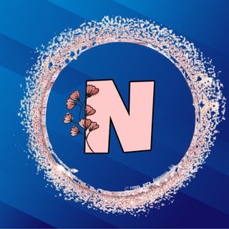 N Name dp