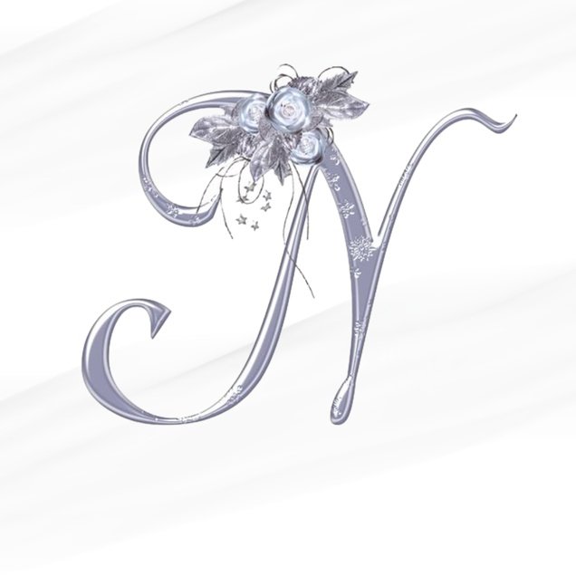 N Name dp