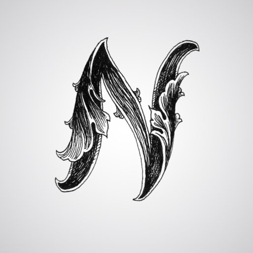 N Name dp