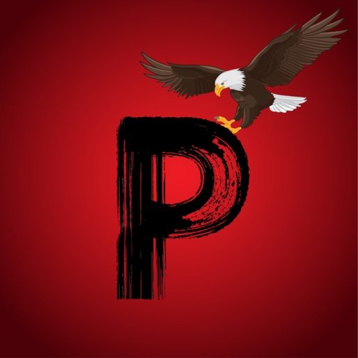P name dp